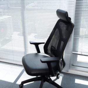 Ergonomic Office Chairs